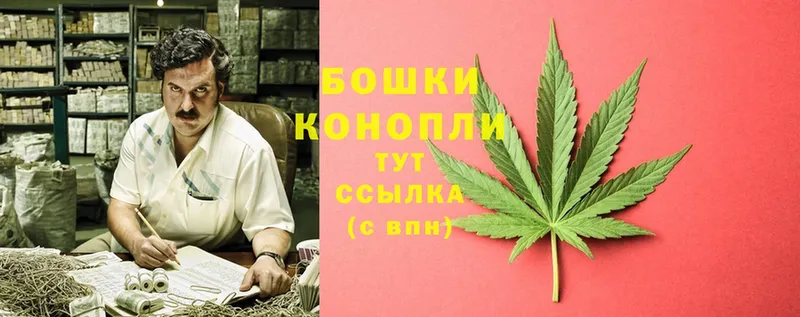 гидра   продажа наркотиков  Асино  МАРИХУАНА SATIVA & INDICA 